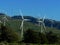 Tehachapi Pass Wind Farm