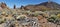 Teide and Los Roques Panorama with the ground foreground
