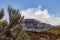 Teide Nacional Park. Mountains of Tenerife.