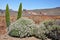 Teide National Park