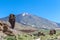 Teide National Park (Canadas del Teide)