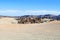 Teide National Park, mountain volcano, magnificent desert landscape near the volcano Teide, Tenerife, Canary Islands