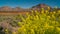 Teide National Park, mountains and hardened lava. Tenerife, Canary Islands.