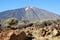 Teide National Park,  Roque Cinchado unique rock formation with famous Pico del Teide mountain volcano, magnificent desert