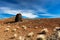 Teide National Park, Tenerife, Canary Islands - A view of `Teide Eggs`, or in Spanish `Huevos del Teide`.