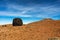 Teide National Park, Tenerife, Canary Islands - A view of `Teide Eggs`, or in Spanish `Huevos del Teide`.