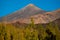 Teide volcano crater above the pine trees
