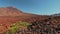 Teide Volcano, Tenerife Island, Canary Islands, Spain. Arid desert in the national park, red Martian surface and wild