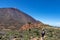 Teide - Woman on hiking trail to summit Riscos de la Fortaleza with scenic view on volcano Pico del Teide