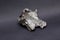 Tektite Meteorite Sikhote Alin isolated on gray background