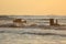 Tel Aviv coastline and skyline as seen from The Mediterranean sea.