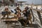 Tel Aviv, Israel - 2019-04-27 - String trio composed of elderly men play on the beach boardwalk