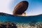 Telamon wreck ship underwater in ocean near Arrecife, Lanzarote island