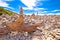 Telascica bay on Dugi Otok island stone desert amazing landscape view