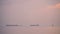 Tele view Professional video of several freight container ship sailing at sunset