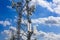 Telecom maintenance. Man climber on tower against blue cloudy sky background