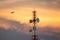 Telecom Signal Tower in sunset and plane is flying through.