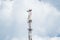 Telecommunication tower of 4G and 5G cellular. Macro Base Station. 5G radio network telecommunication equipment with radio modules