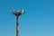 Telecommunication Towers with Antennas for Radio Communication a