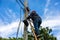 A telecoms worker is shown working from a utility pole ladder while wearing high visibility personal safety clothing, PPE, and a