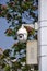 Telecontrol traffic surveillance camera