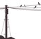Telegraph Pole Birds