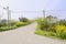 Telegraph poles at fork in flowering countryroad on sunny spring