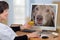 Telemedicine vet gives a hamburger to dog in monitor