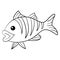 The teleost fish black and white vector line art