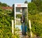 A telephone booth covered with foliage at a gas station in canada