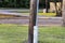 Telephone pedestal near utility pole
