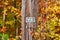 Telephone pole detail of post with numbers 5 9 3 and surrounded by fall foliage