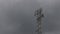 Telephone pole and rain cloud time lapse