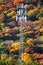 Telephone signal tower overlooking the striking colors of fall foliage