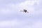 Telephoto of a stork gliding, isolated on a cloudy day