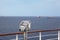 Telescope on deck of cruise ship in out of focus