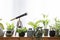 Telescope and plants on wooden cabinet against white background