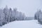 Teletsky Altai winter mountain ski resort. Mount and forest background under snowfall