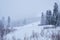 Teletsky Altai winter mountain ski resort. Mount and forest background under snowfall