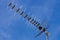 Television antenna facing left over blue sky