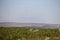 Television Mast on Winter Hill