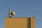 A television telecommunications antenna on clear blue day sky mounted on the roof of yellow square building as a background.
