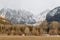 Telluride Valley Floor Fog 2