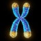 Telomere