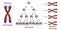 Telomere shortening with each round of cell division