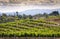 Temecula Wine Country Vineyards, California