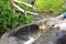 Temizuya - water basin for ritual ablution in Kamakura Hasedera temple, Japan