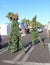 Tempe, Arizona: Festival of the Arts - Entertainment - Stilt Walkers in Leaf Costumes