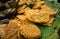 Tempe Goreng. Fried tempeh, or soybean cake, a side dish traditional Javanese meals.