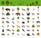 Temperate broadleaf forest and mixed forest biome. Terrestrial ecosystem world map. Animals, birds and plants graphic design